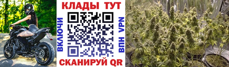 Наркошоп купить Alpha PVP Псилоцибиновые грибы ГАШИШ Каннабис Мефедрон Салехард