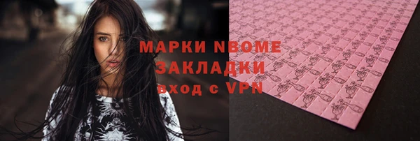 стаф Балахна