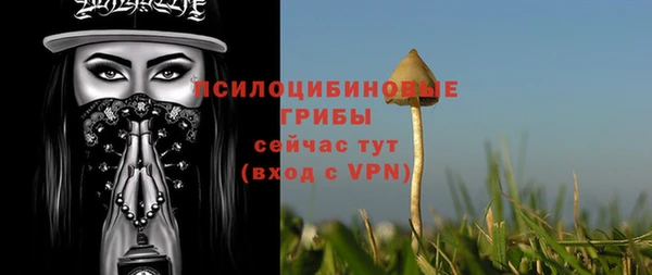 стаф Балахна