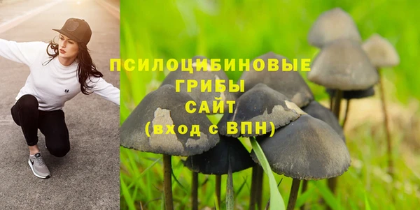 ECSTASY Баксан
